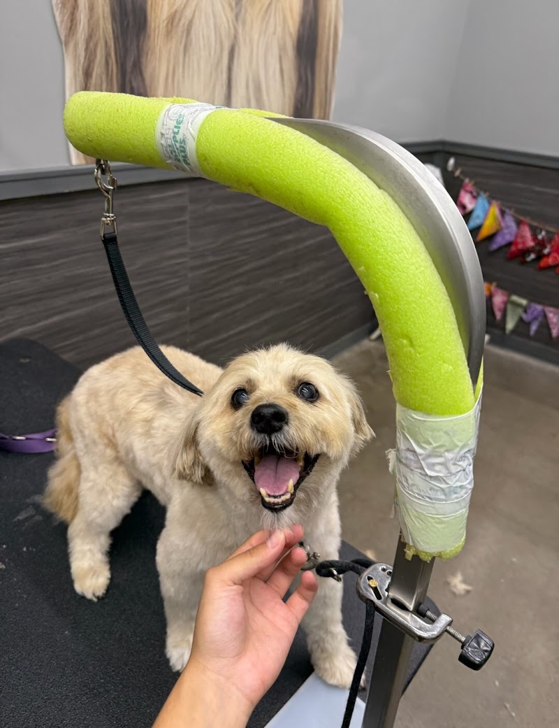 Pet Supplies Plus Fort Wayne - West Grooming cover image