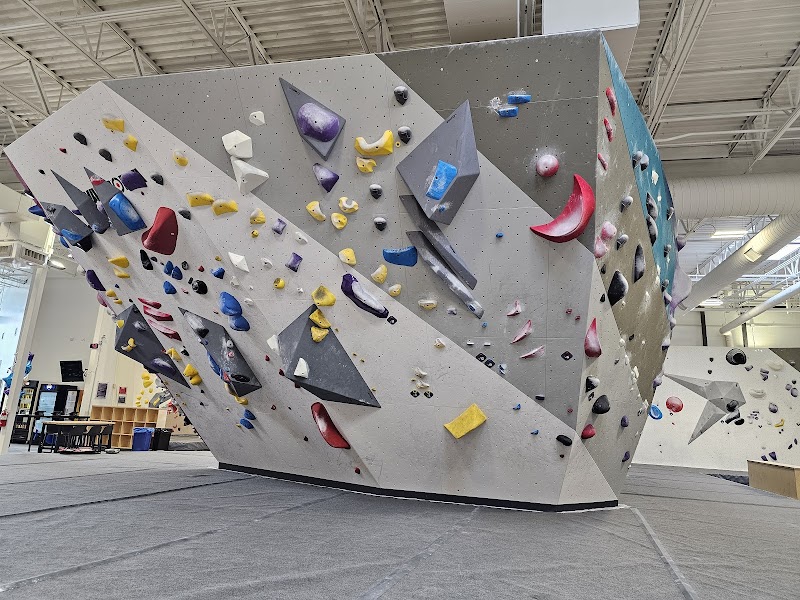 Movement Centennial cover image