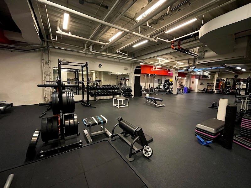 Precision Training NYC cover image