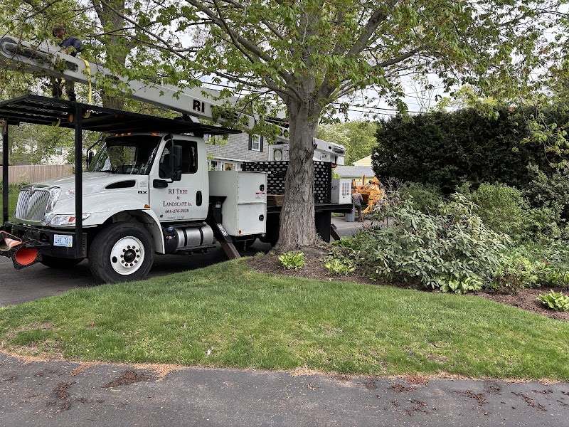 Sepe Tree Service cover image