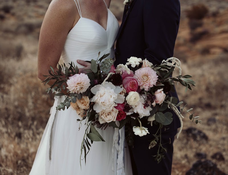 Haley Nord Photography cover image