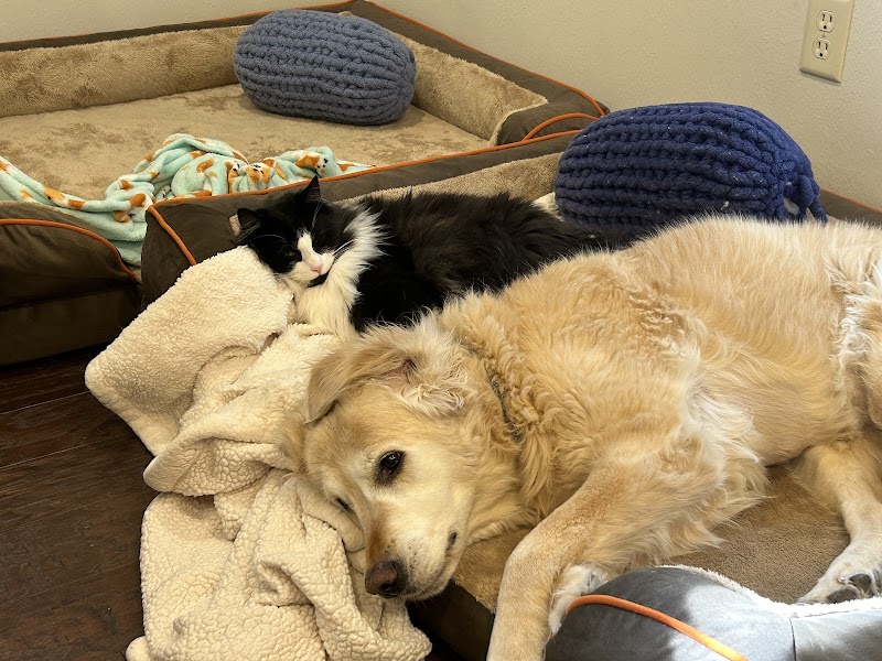 The West Suburban Animal Hospital cover image