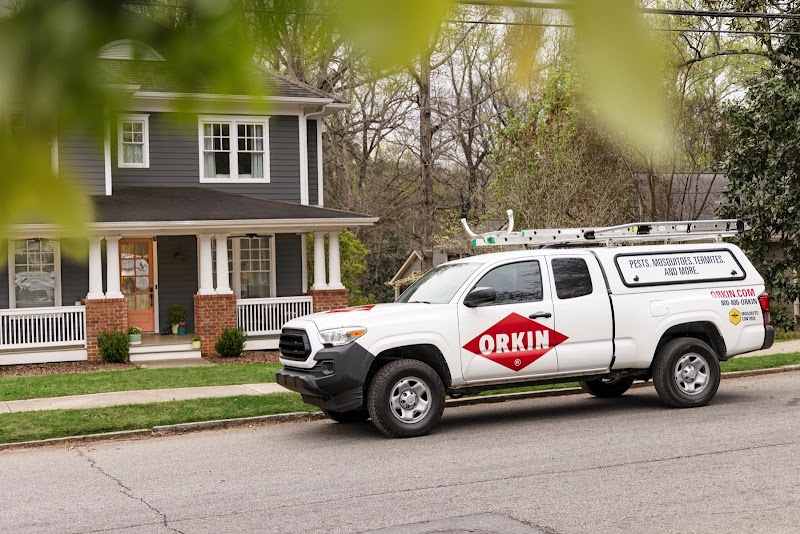 Orkin cover image