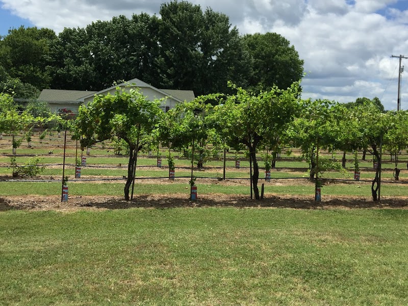 Canadian River Winery and Vineyard cover image