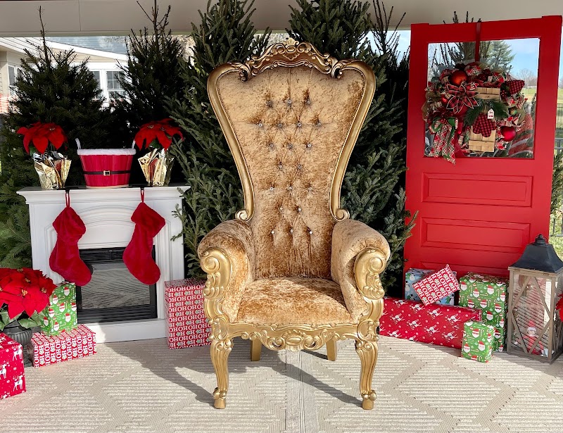 Luxe Luxe Rentals cover image