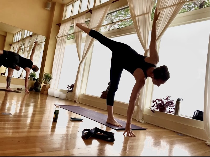 South Park Yoga and Wellness cover image