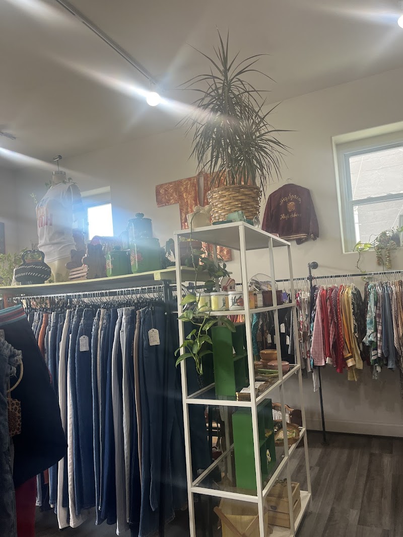 Get Shredded Vintage cover image