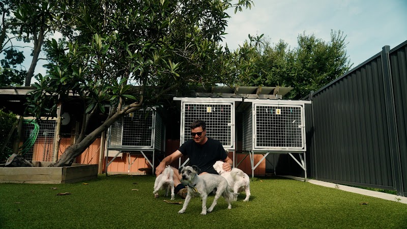 Four Paws Resort Pialligo cover image