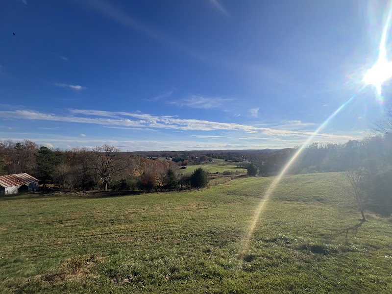 Native Son Vineyard cover image