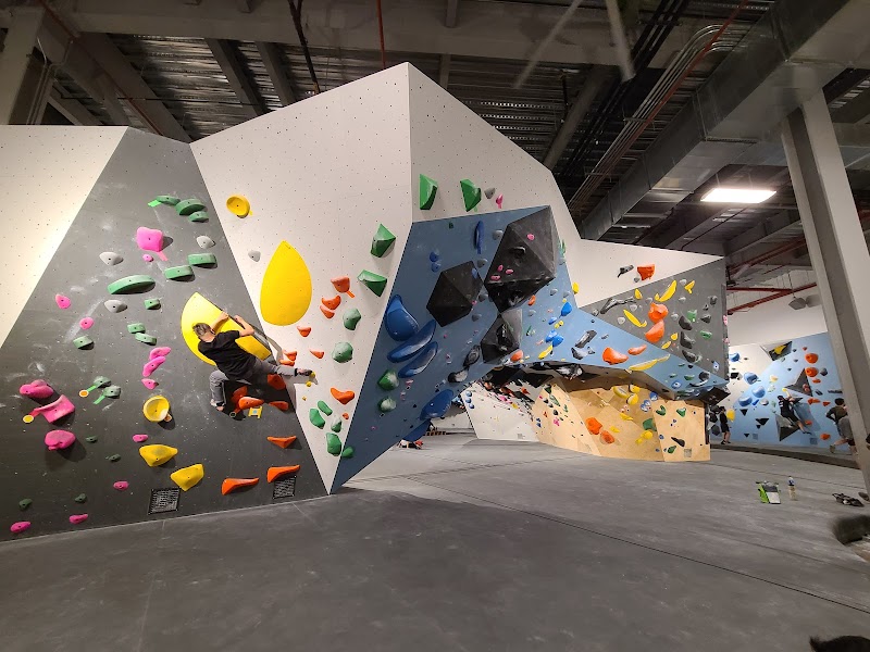 VITAL Climbing Gym - Brooklyn cover image