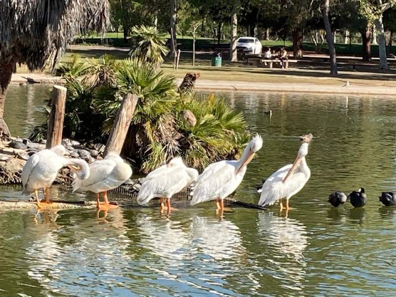 SGI-USA Long Beach Buddhist Center cover image