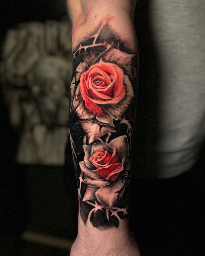 KillerBee Tattoos cover image