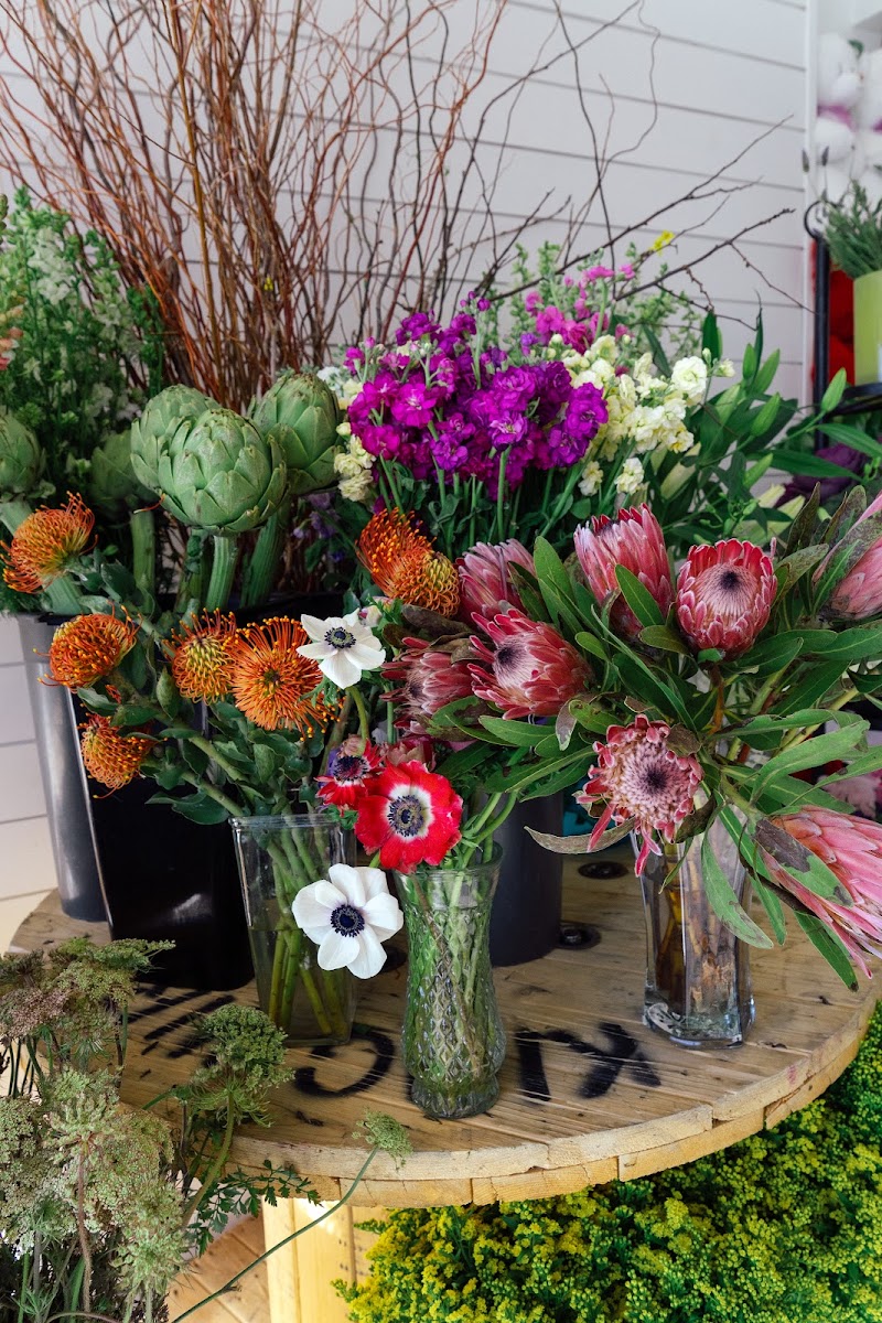 Ed Moore Florist cover image