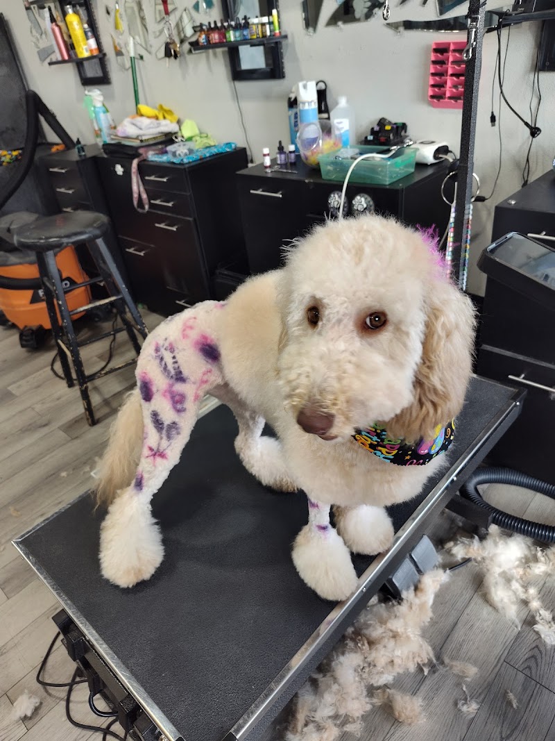 Pals with Paws grooming cover image