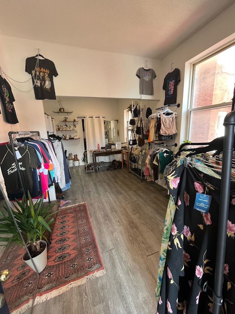 Past Lives Thrift cover image