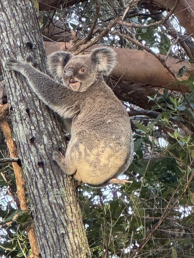Stradbroke Island Tours cover image