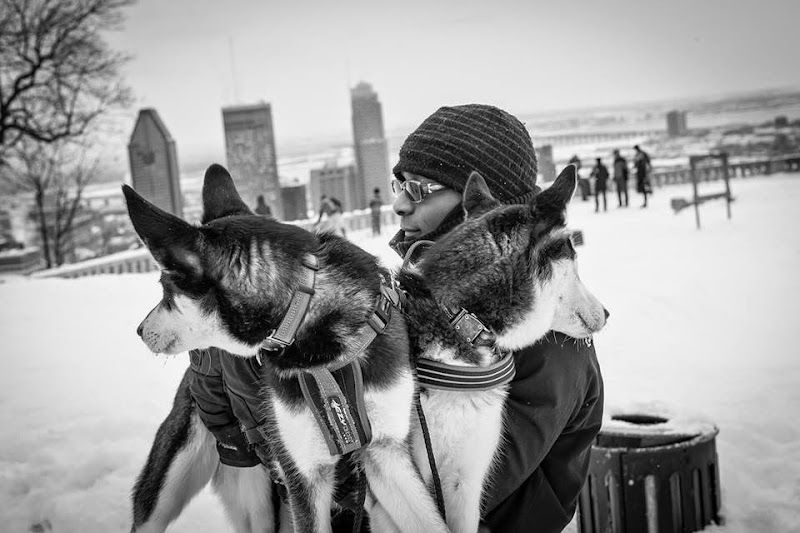 Évolution Canine - Éducation et dressage de chiens cover image