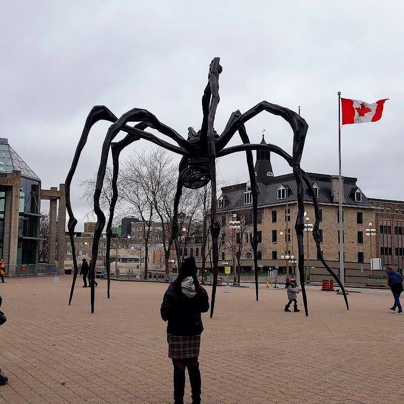 Ottawa Walking Tours & Step-On Guide Services cover image