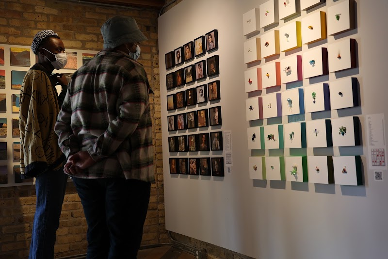 Var Gallery cover image