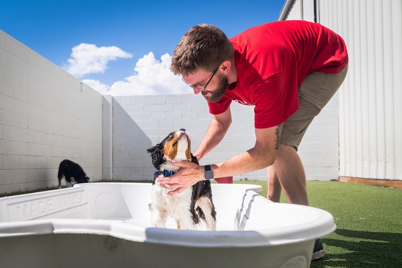 Camp Bow Wow Columbus - Grandview Heights cover image