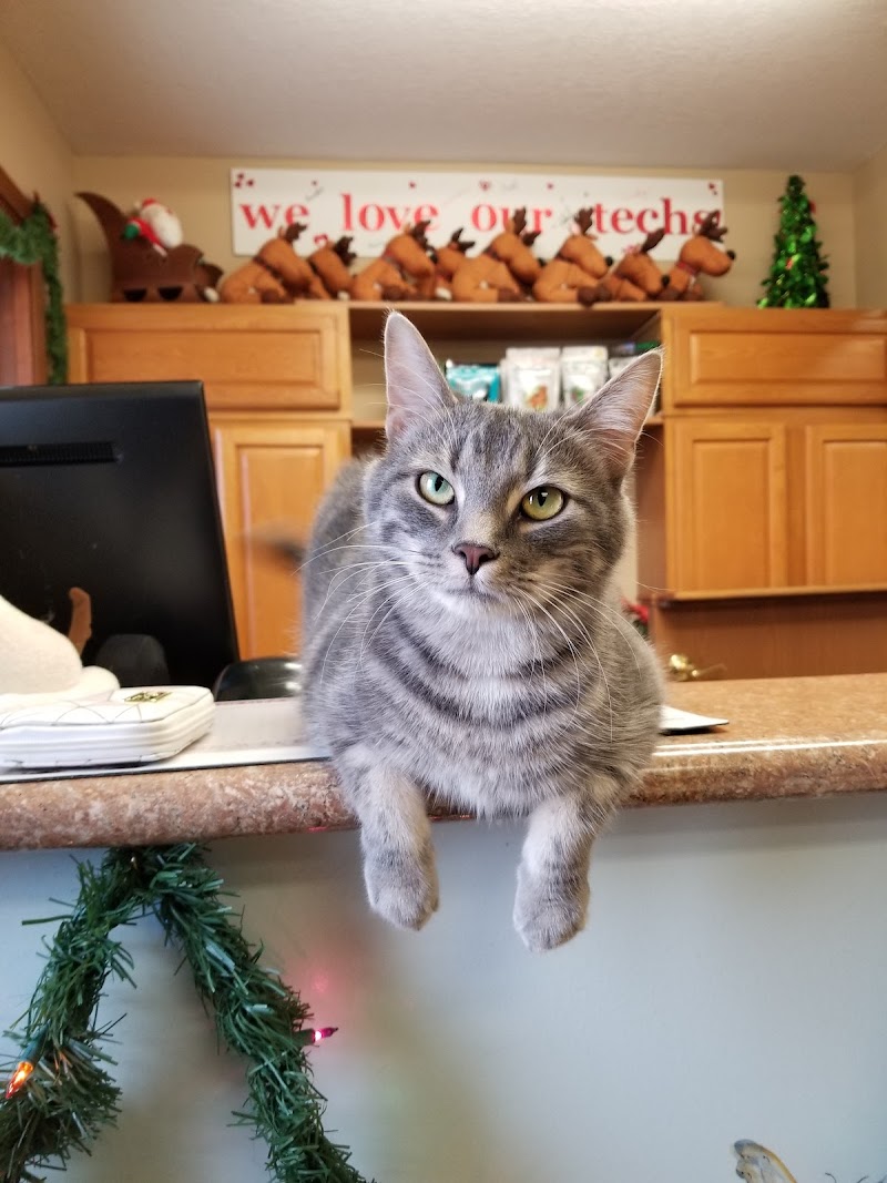 Veterinary Services cover image