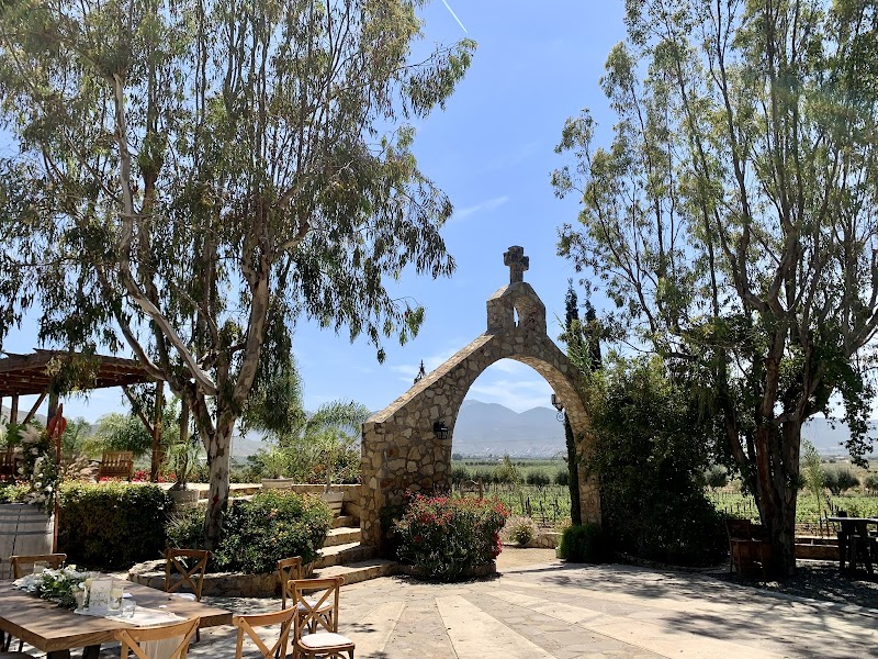 Baja Society Tours cover image