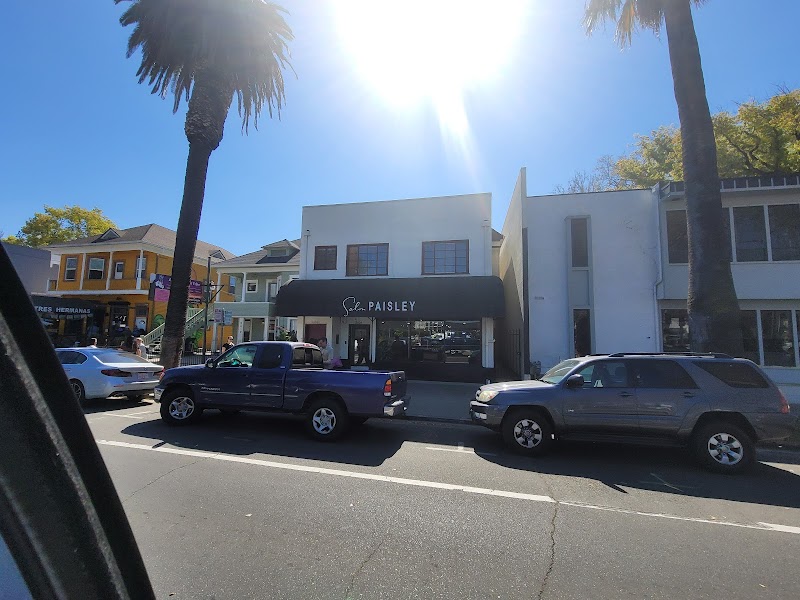 Salon Paisley cover image