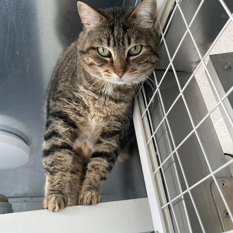 Friend for life cover image