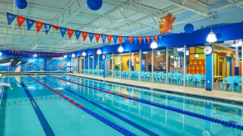 Goldfish Swim School - Houston Heights cover image