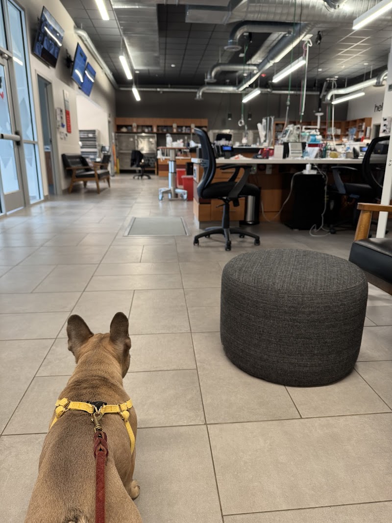 VEG ER for Pets cover image