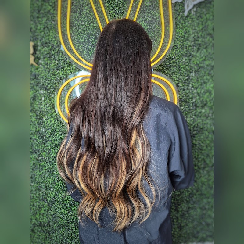 mariposa salon cover image