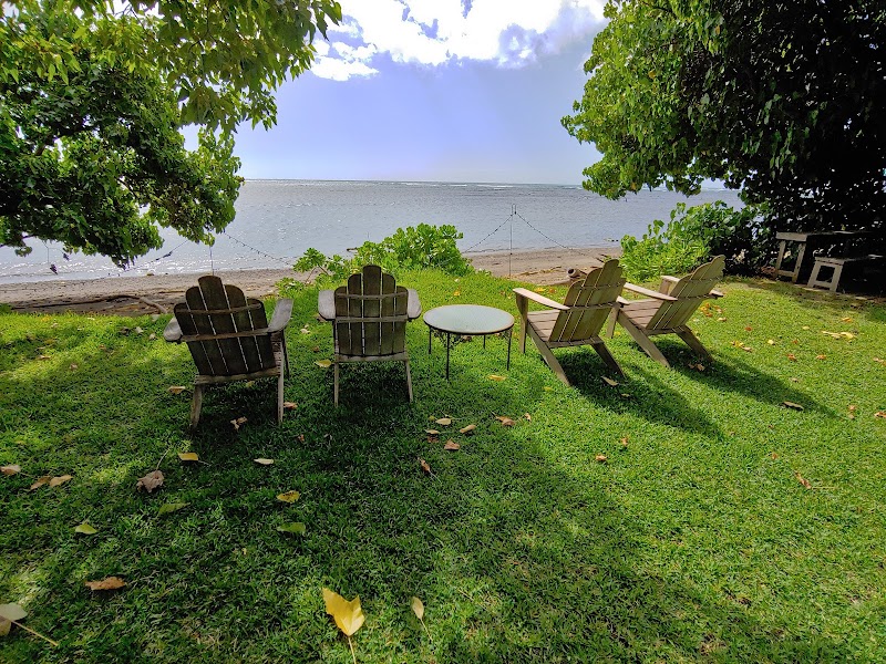 Bayer Estate cover image