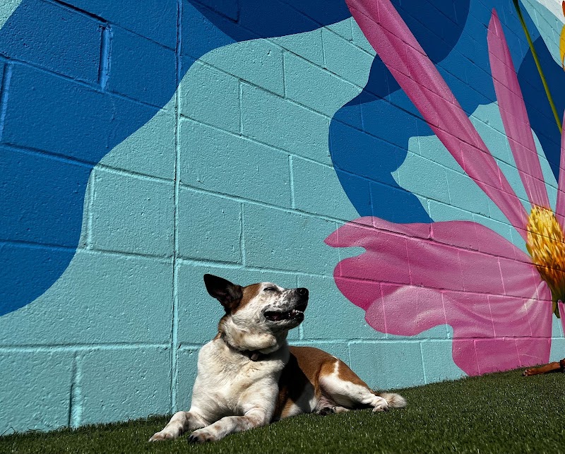 Parkwood Pet Resort Locust Point cover image