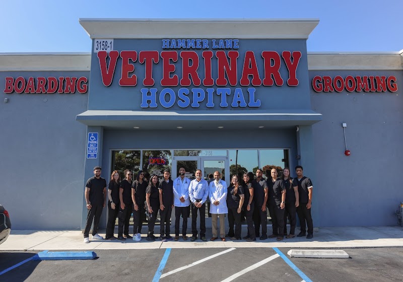 Hammer Lane Veterinary Hospital cover image