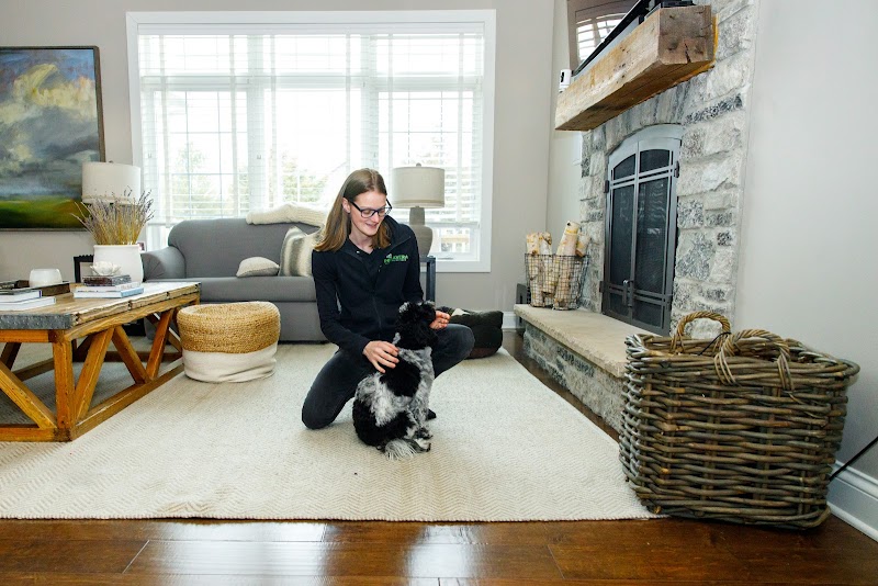 Primavera Cleaning Service cover image