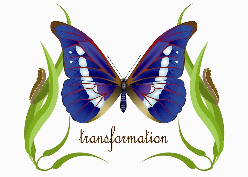 Serenity-Rx Skincare & Wellness cover image