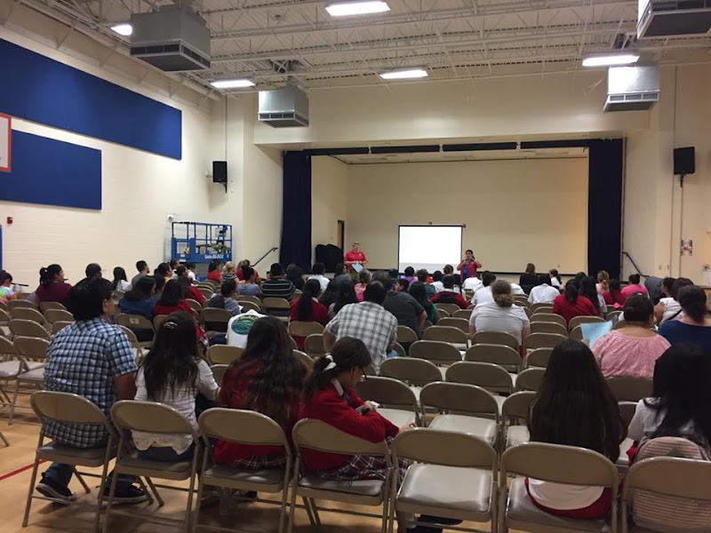 World Languages Institute cover image