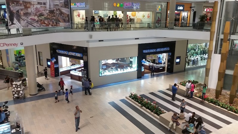 VALLIANI JEWELERS cover image