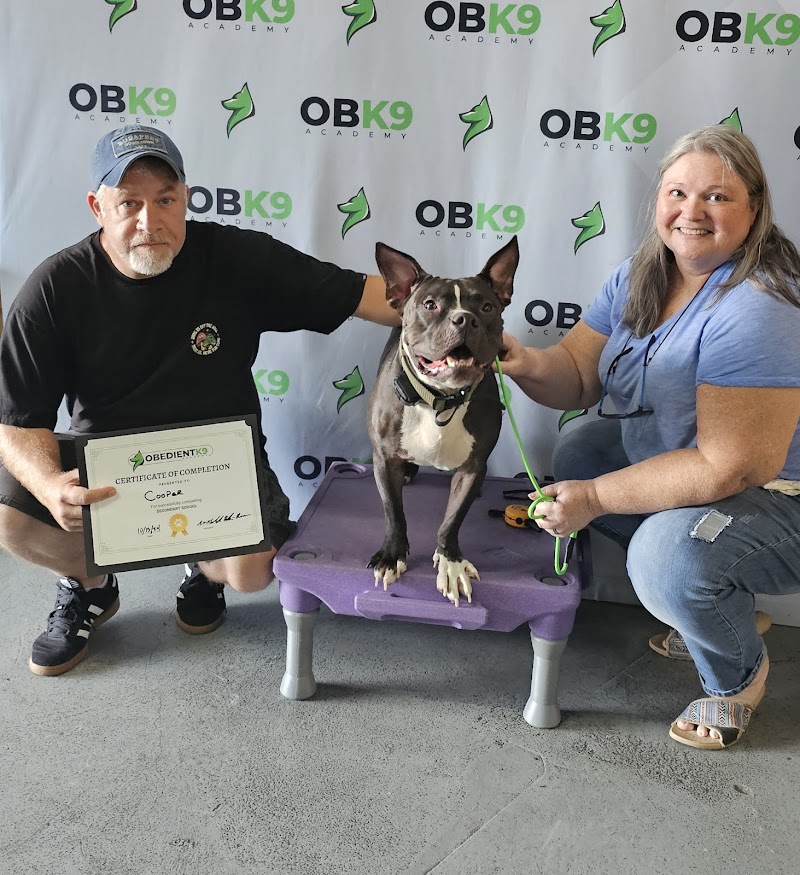 Obedient K9 Academy cover