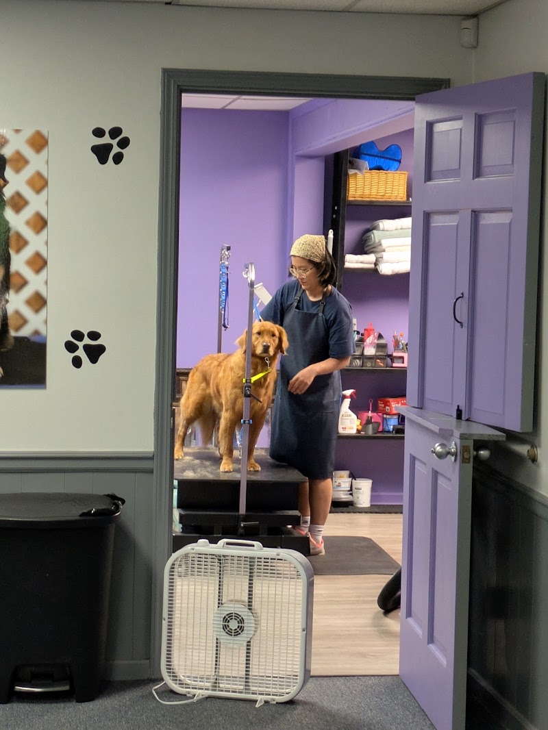 Fluff'nBuff Pet Grooming LLC cover image