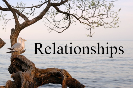 San Diego Life Coach cover image