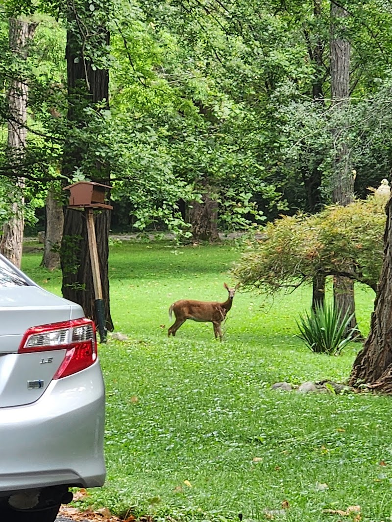 The Hermitage cover image