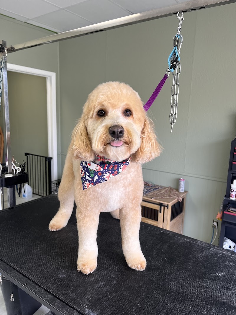 Urban Tailworks cover image