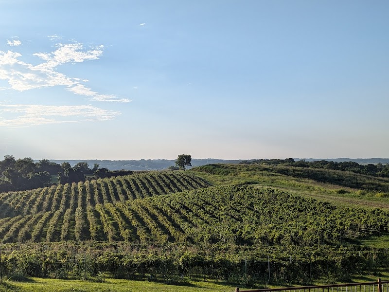 TerraVox Winery cover image