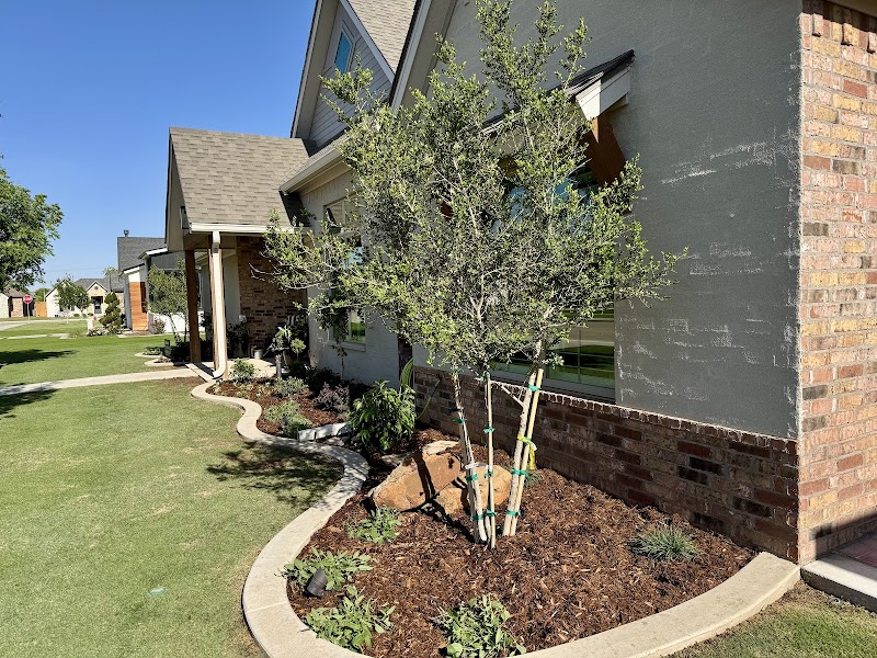 Bravo Xteriors cover image