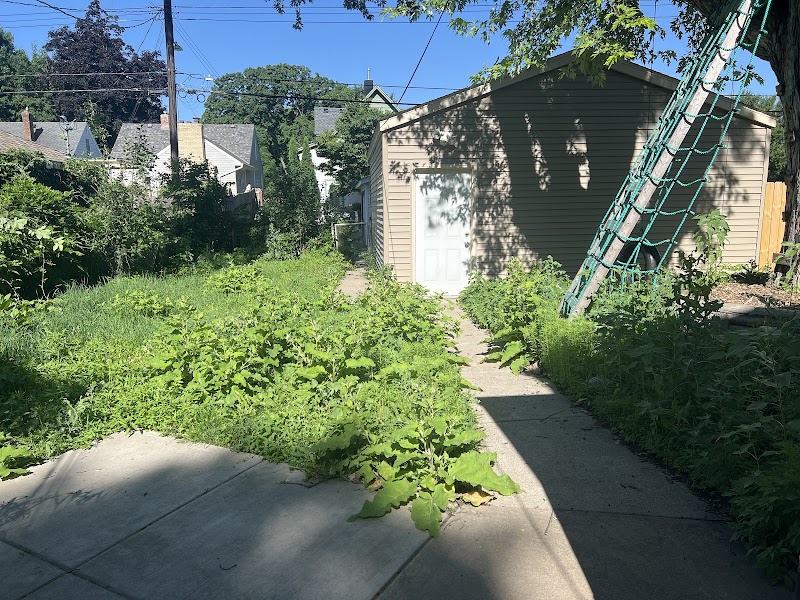 Grounded Earth cover image