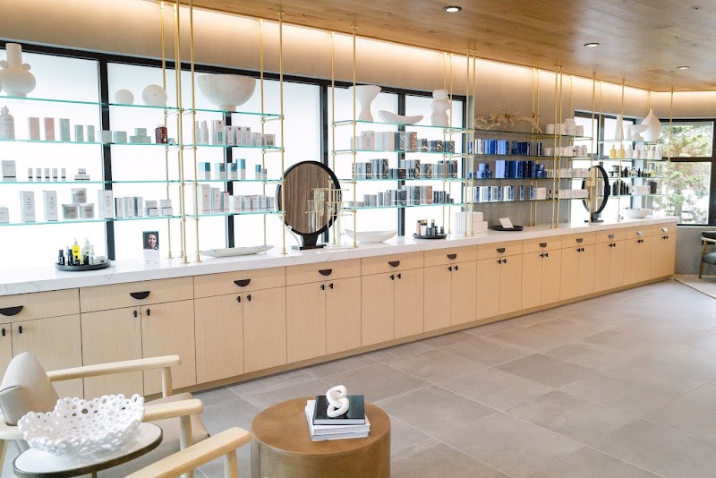 Sarah Hamilton Face cover image