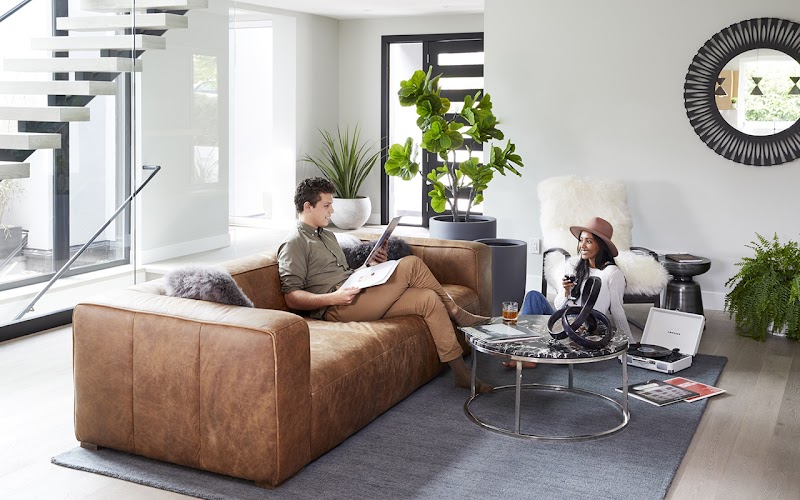 Direct Furniture Modern Home cover image