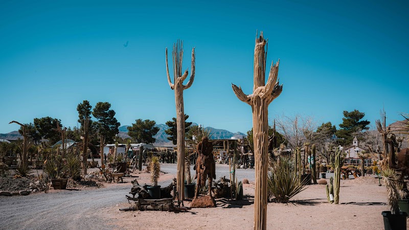 Cactus Joe's Blue Diamond Nursery cover image