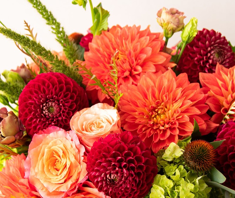 Scotts Flowers cover image